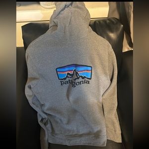 Patagonia hood hoodies for men